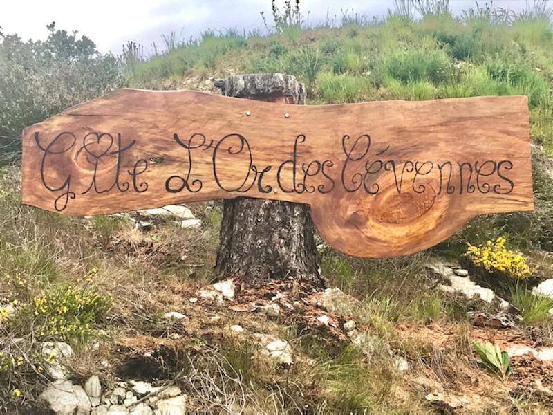 Gite L'Or Des Cevennes Saint-Andre-Capceze Экстерьер фото