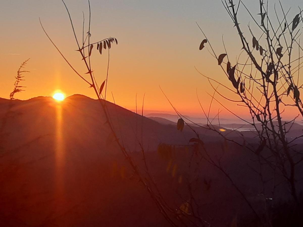 Gite L'Or Des Cevennes Saint-Andre-Capceze Экстерьер фото