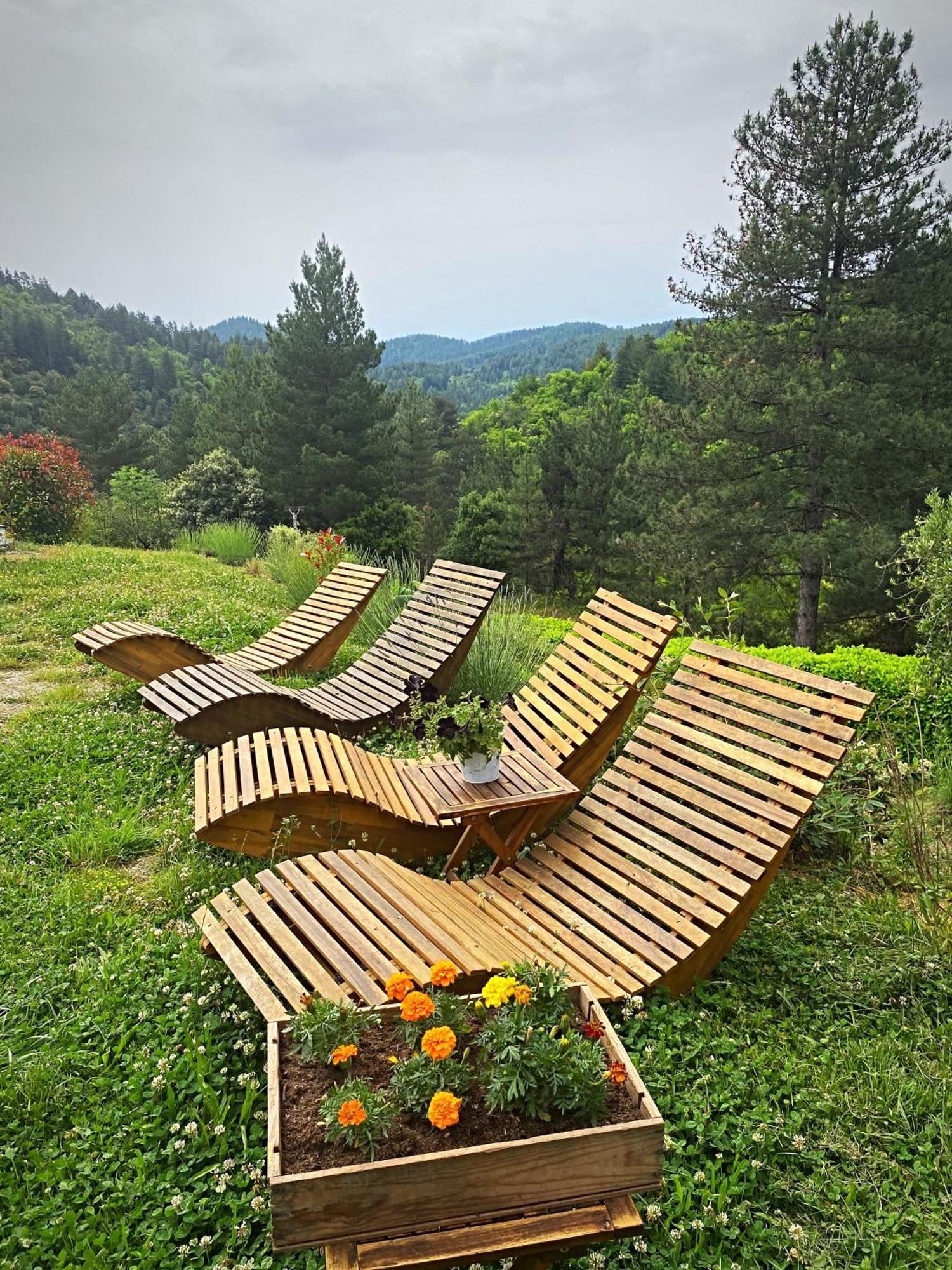 Gite L'Or Des Cevennes Saint-Andre-Capceze Экстерьер фото
