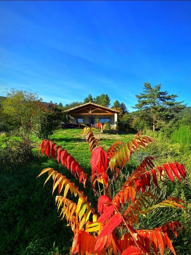 Gite L'Or Des Cevennes Saint-Andre-Capceze Экстерьер фото